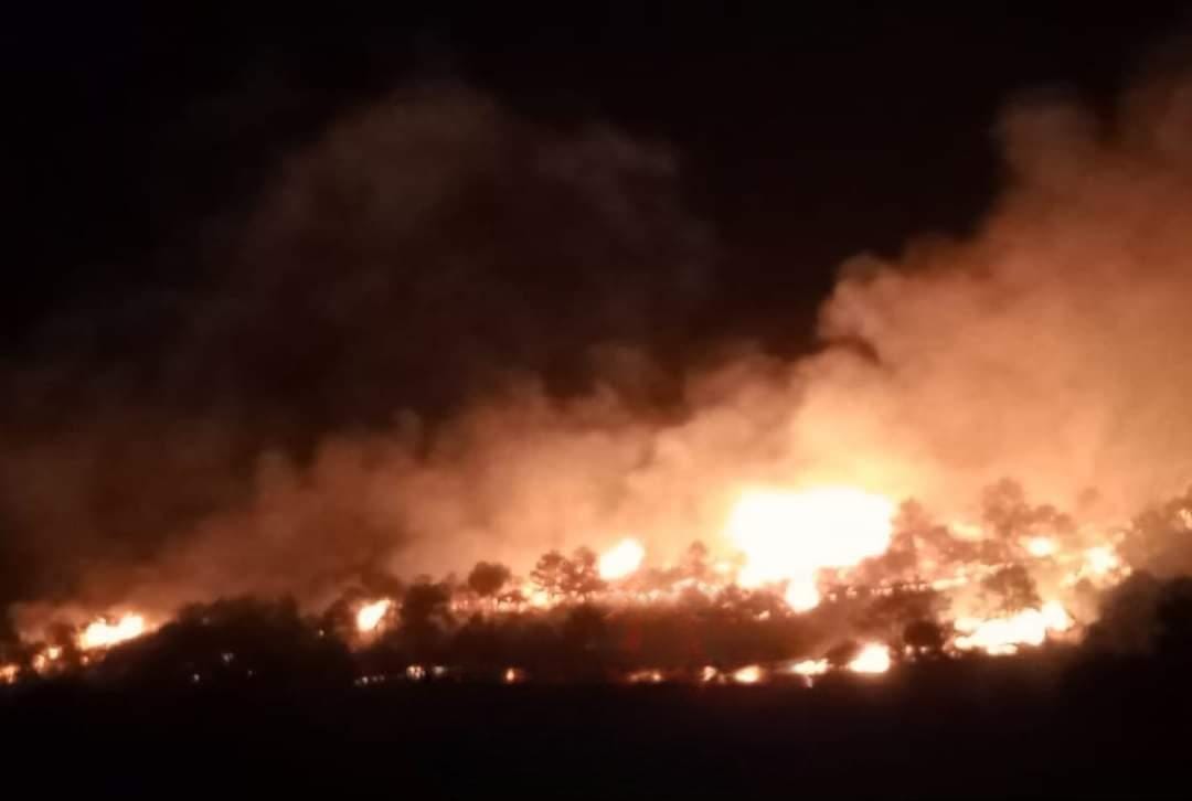 Incendio forestal consume hectáreas en comunidades de Tetela y Aquixtla