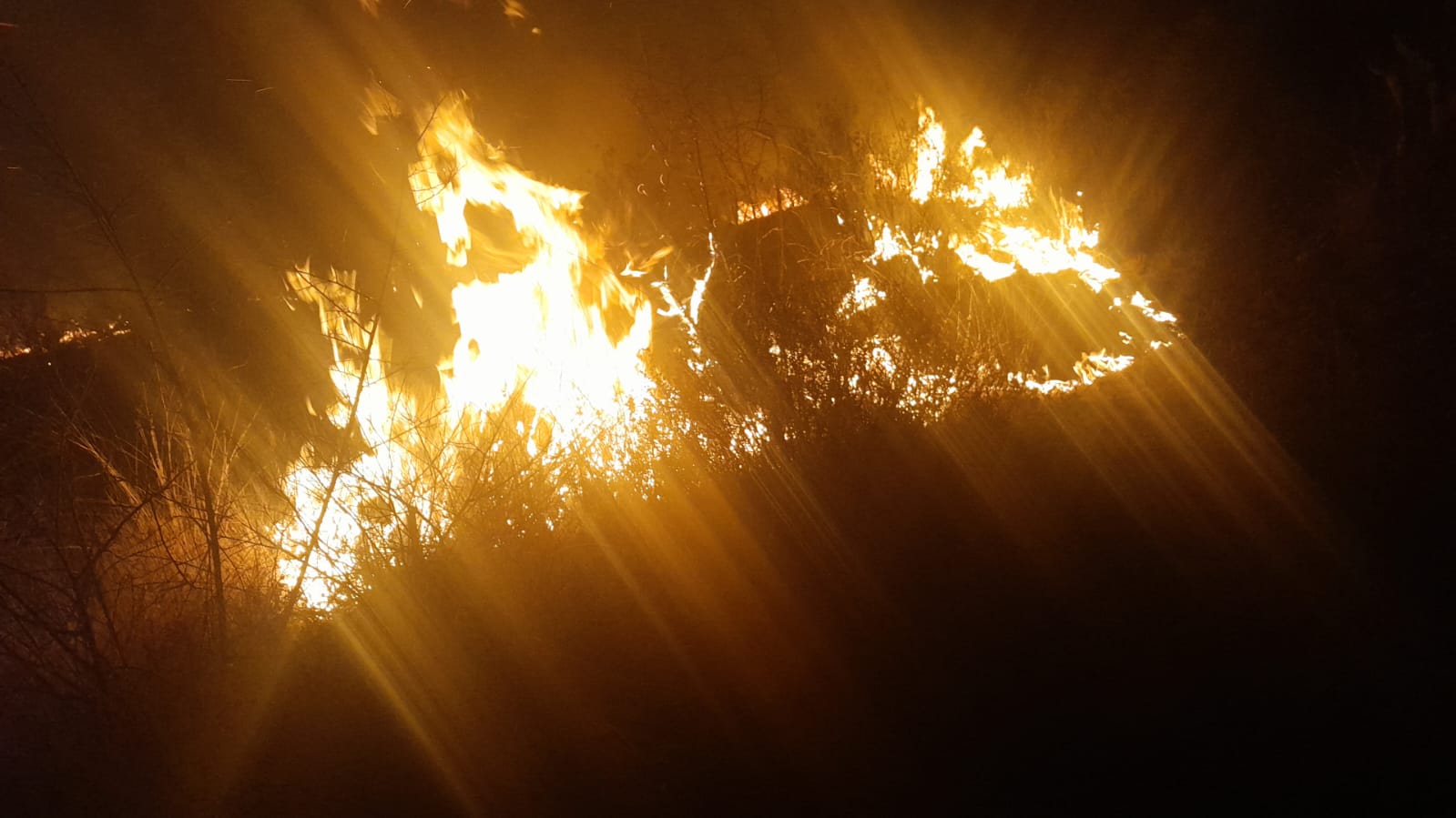 Arde el cerro de San Francisco Tepeyecac en Texmelucan