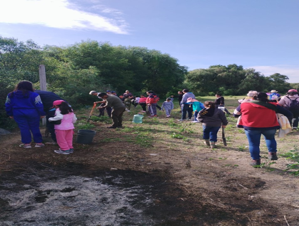 Realizan jornada de reforestación en el cerro Totolquemec