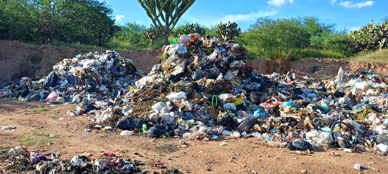 Clausura Medio Ambiente tiradero clandestino en San Sebastián Zinacatepec 