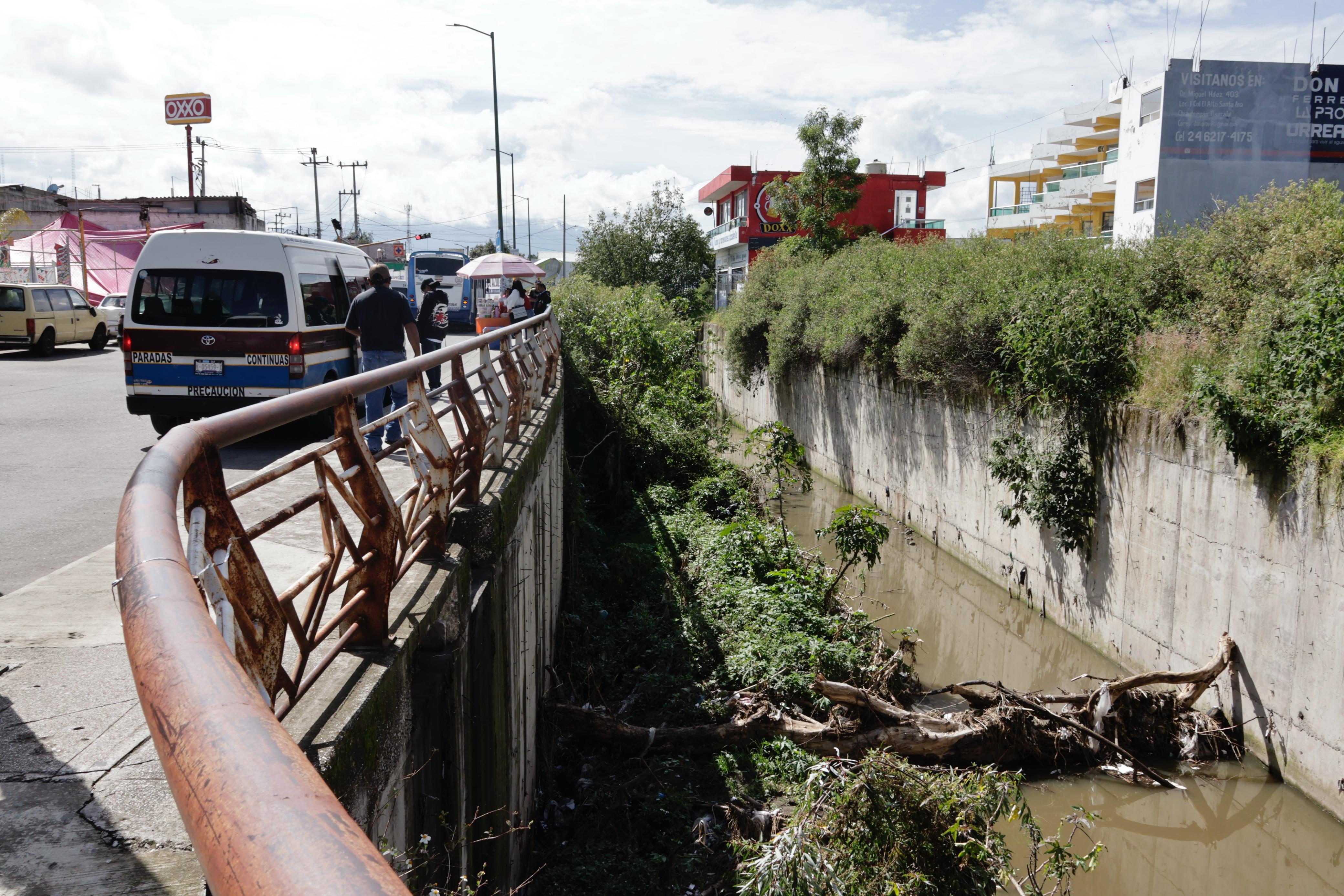 Árbol caído obstruye el Río de los Negros, provocando estancamiento de desechos 