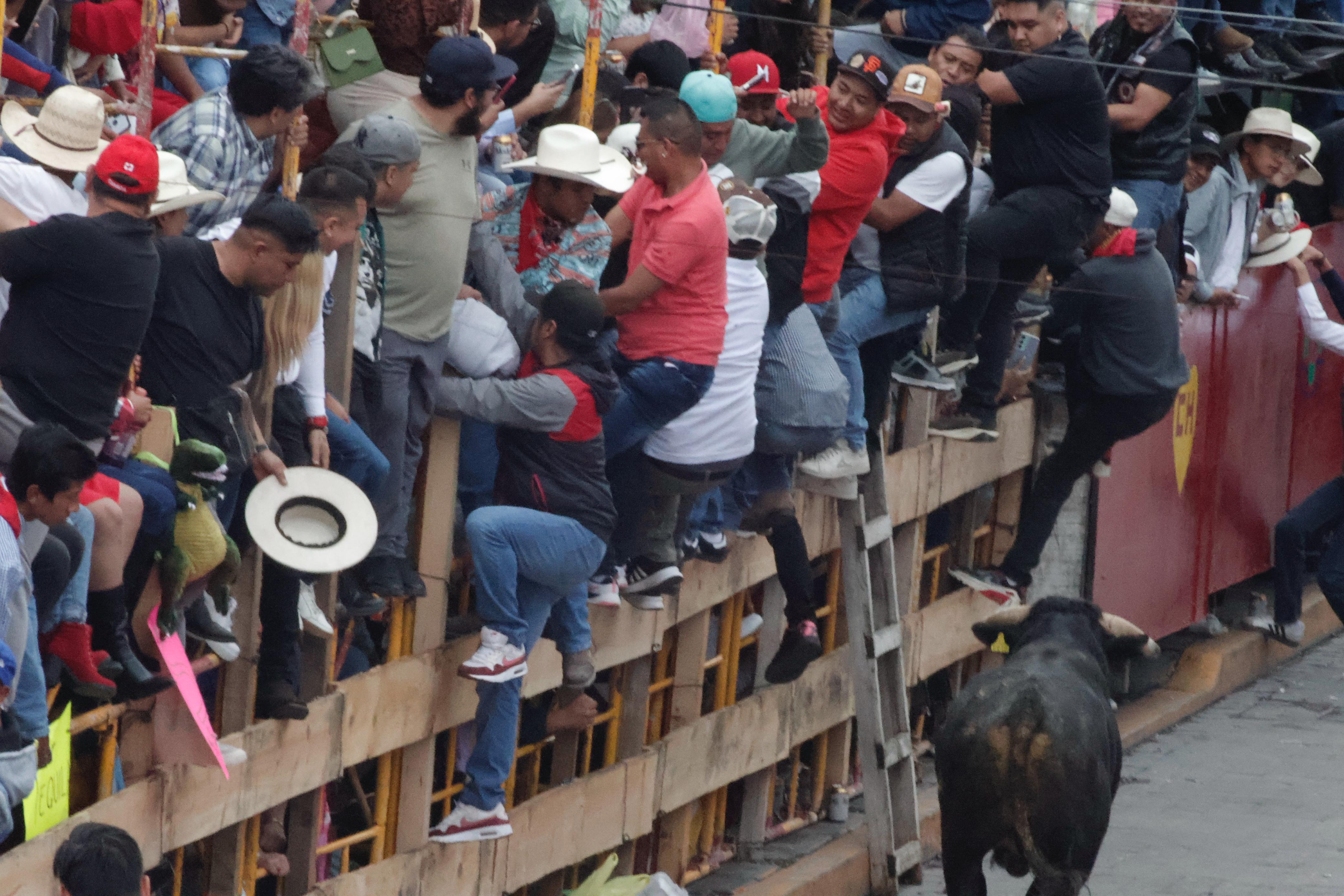 Más de 15 mil personas reunió la Humantlada 