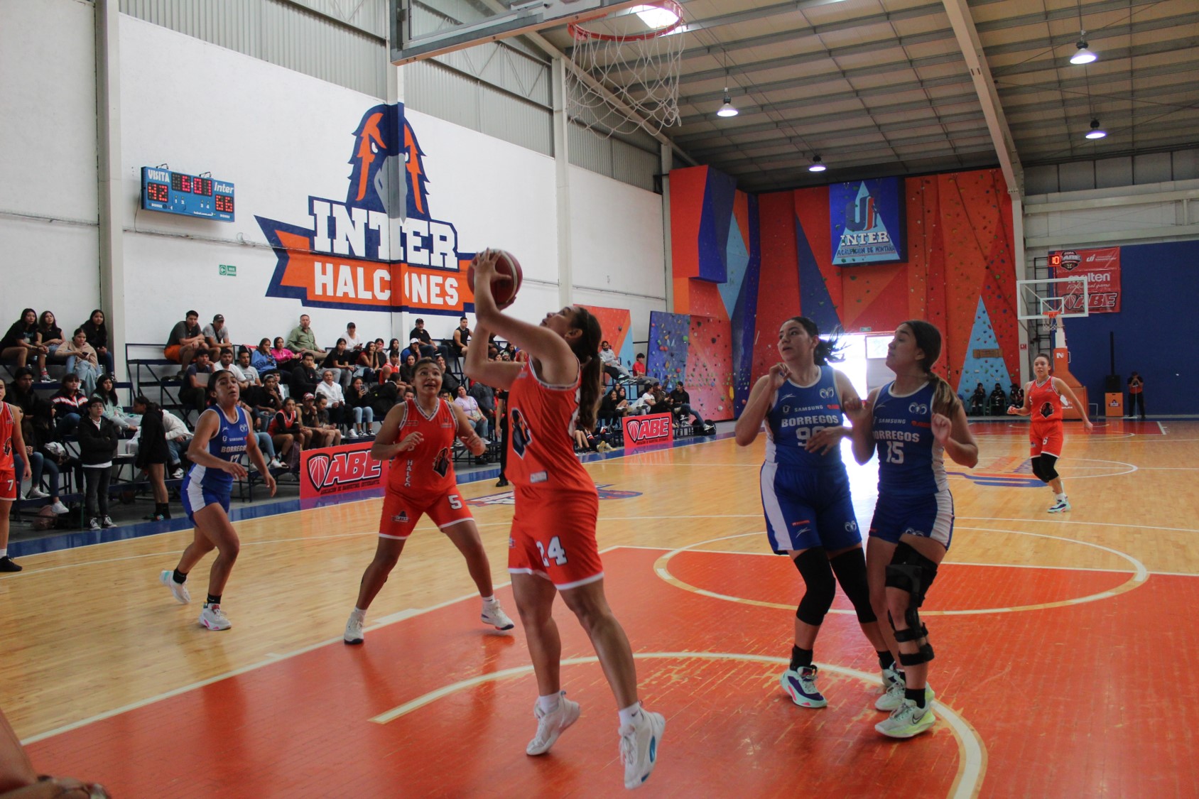 Halcones femenil liga triunfos ante Coahuila e ITESM Querétaro