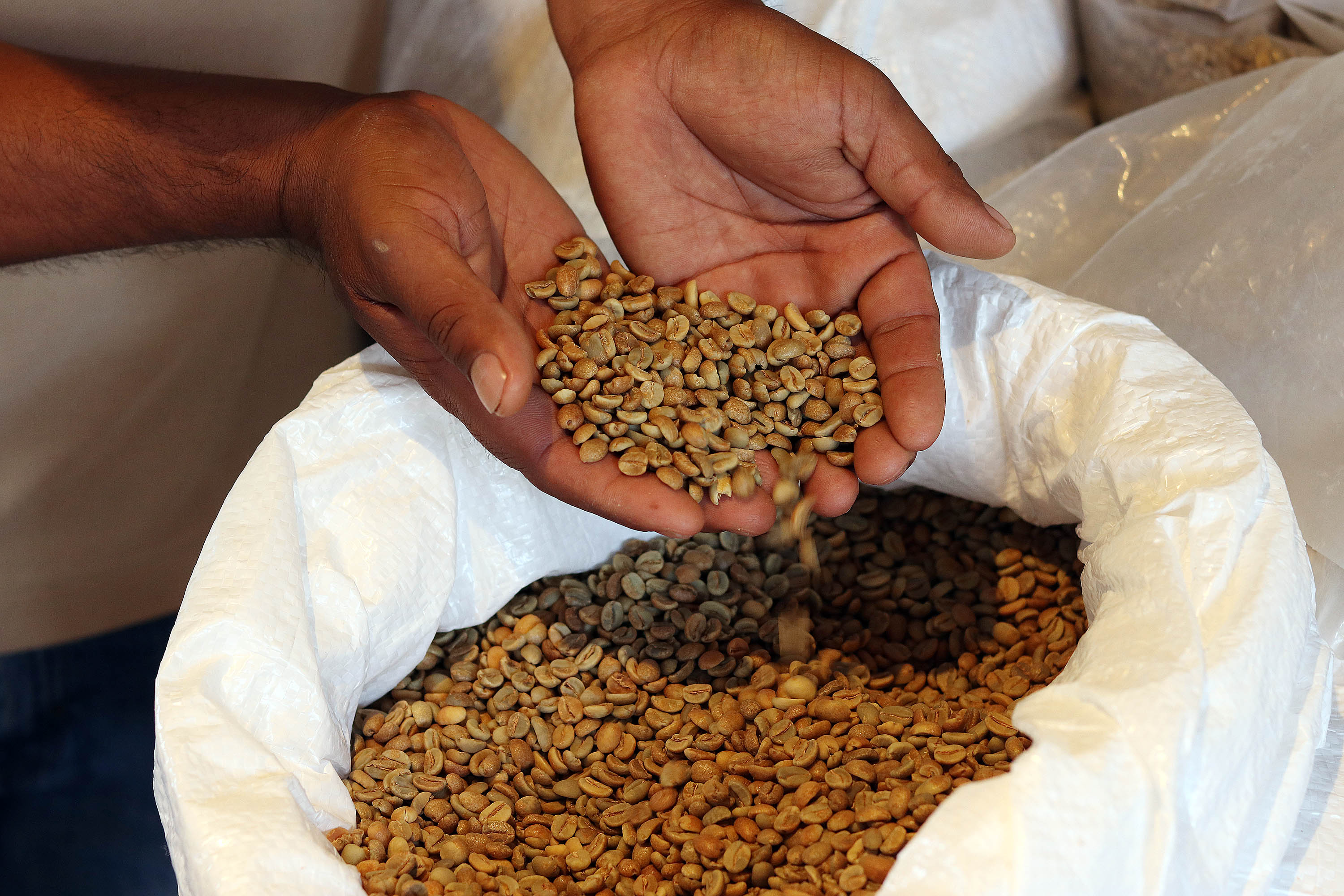Realizan la primera Subasta Internacional de Café Poblano