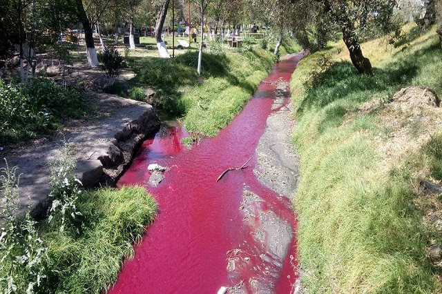 CNDH emite recomendación a Puebla por contaminación de ríos