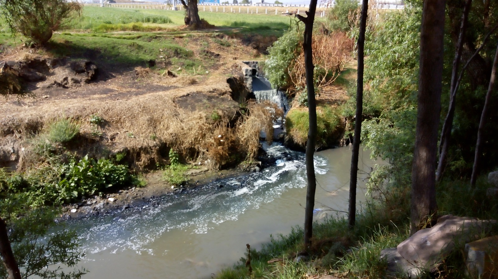 Simulación el rescate del río Atoyac: Centro Fray Julián Garcés