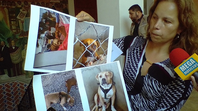 Exhiben maltrato animal en Control Canino de Tehuacán