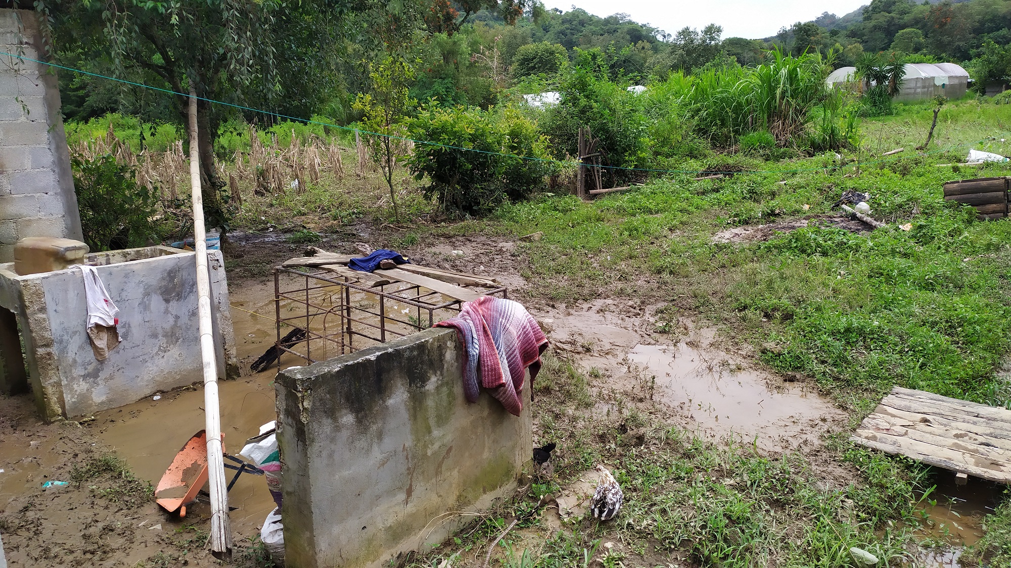 Reportan medio centenar de damnificados en Tlaola tras lluvias