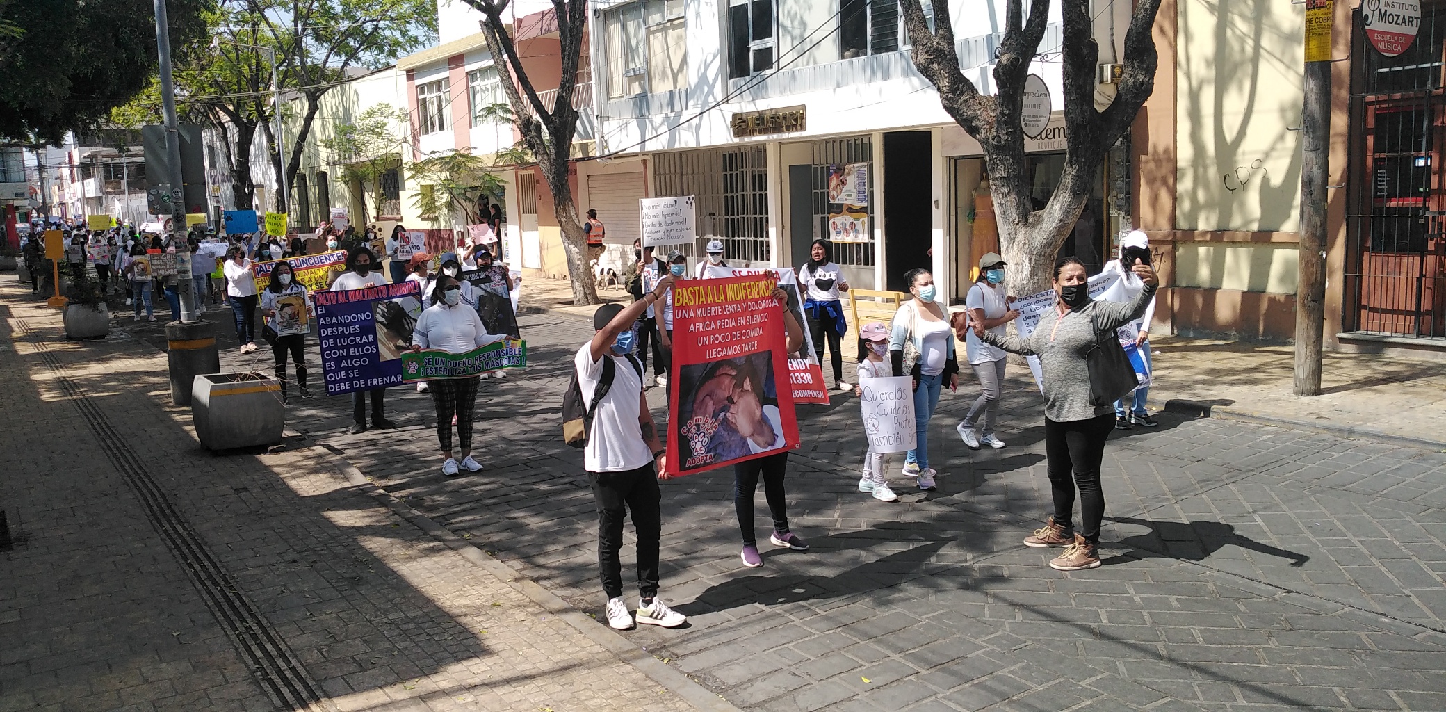 Protestan protectoras de animales en Tehuacán
