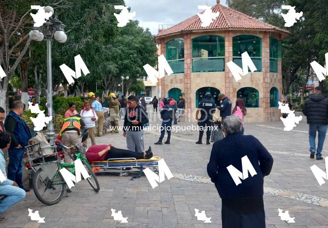 Mujer resulta lesionada tras caerle un árbol en zócalo de Texmelucan