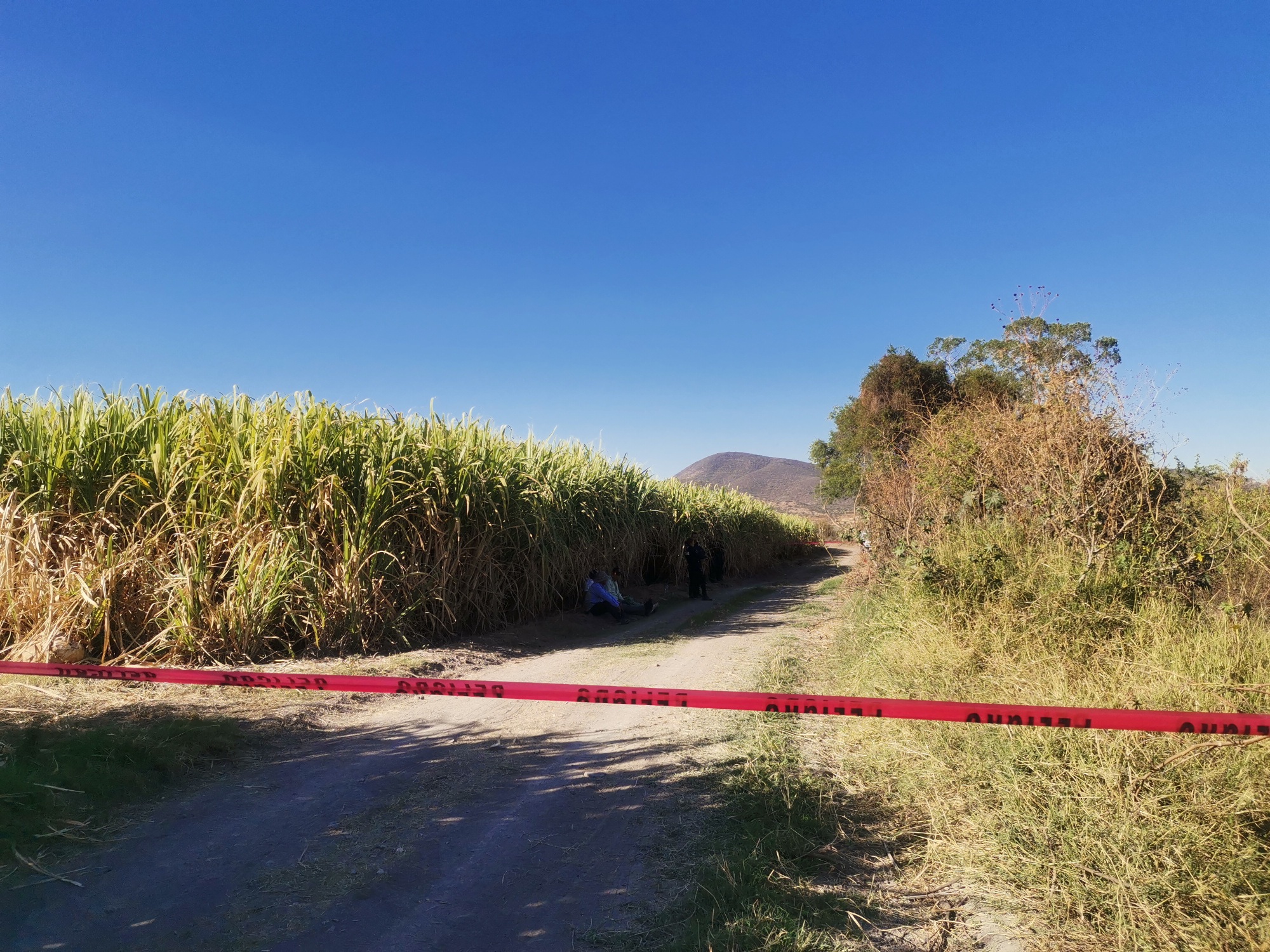 Encuentran a masculino sin vida en barranca de Izúcar