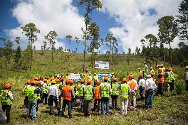 Funcionarios del Banco Mundial visitan ejidos forestales de Chignahuapan