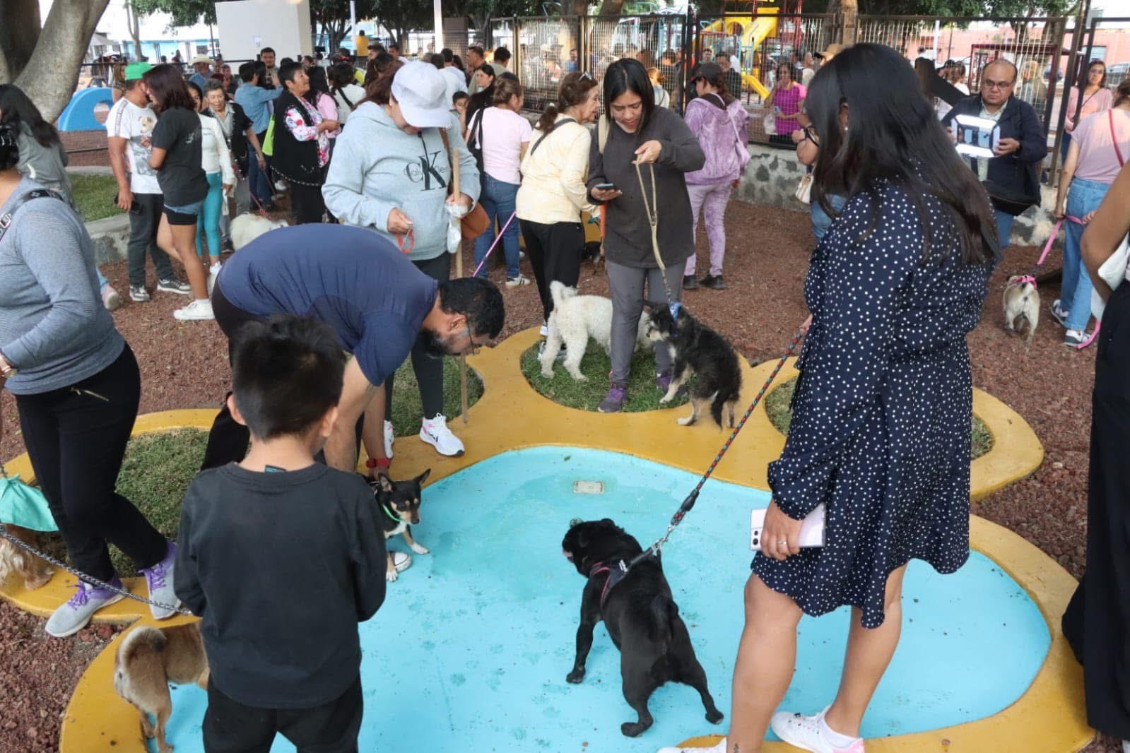 Abren primer parque para mascotas en Atlixco