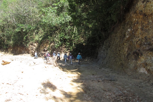 Sin permiso abren camino en Ahuacatlán; sospechan que es para hidroeléctrica