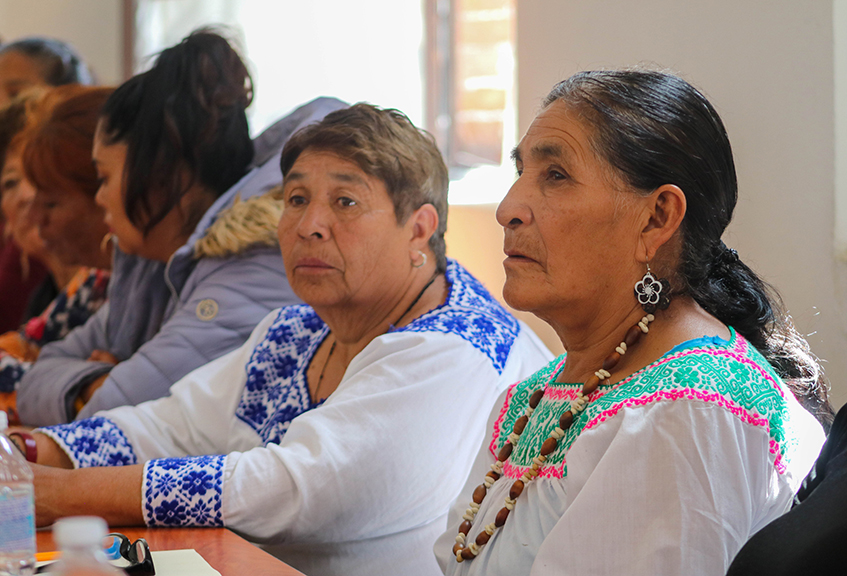 Capacitan a jóvenes poblanos en medicina tradicional