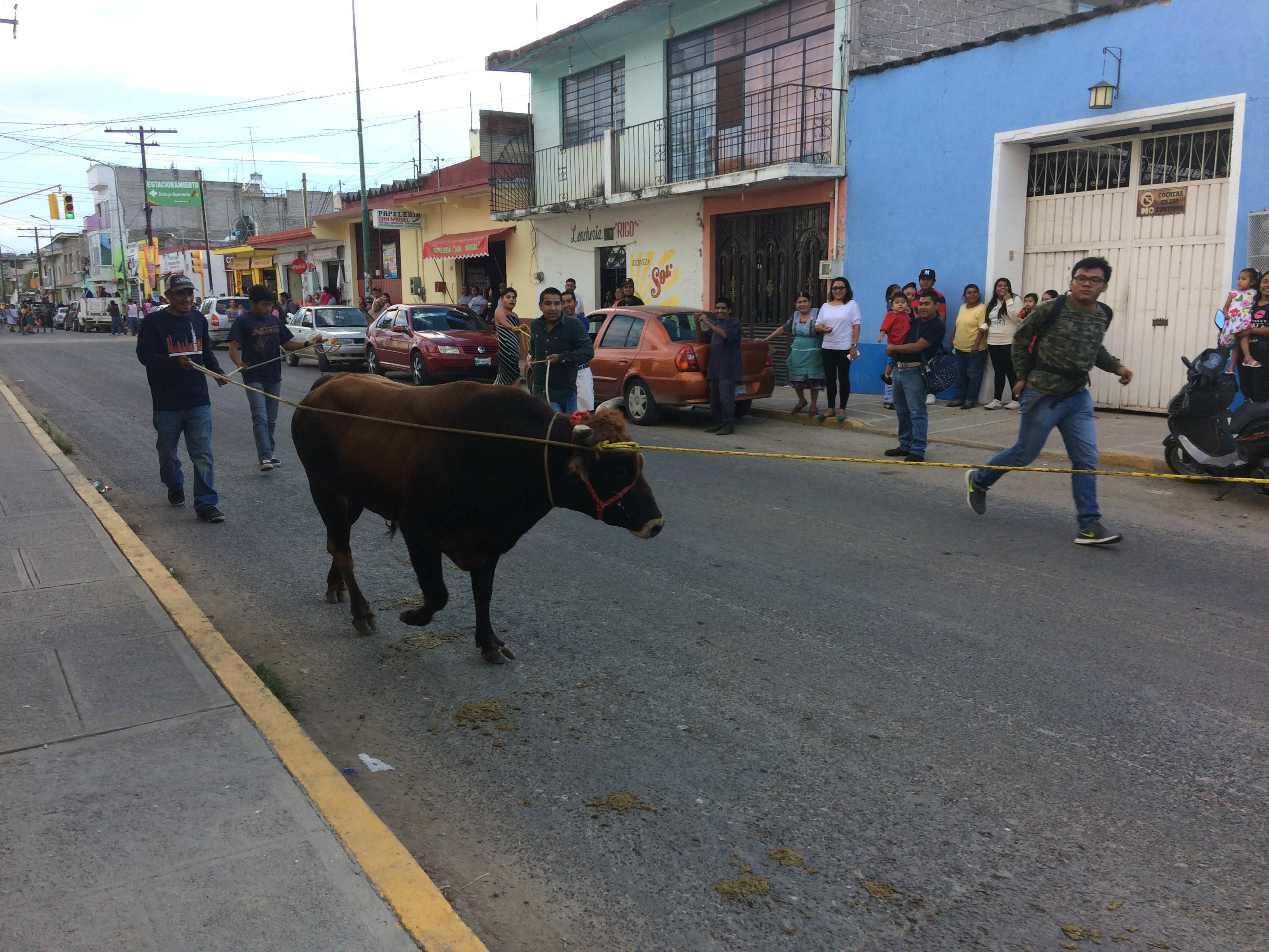 Becerreada arranca los festejos a San Rafael en Acatlán