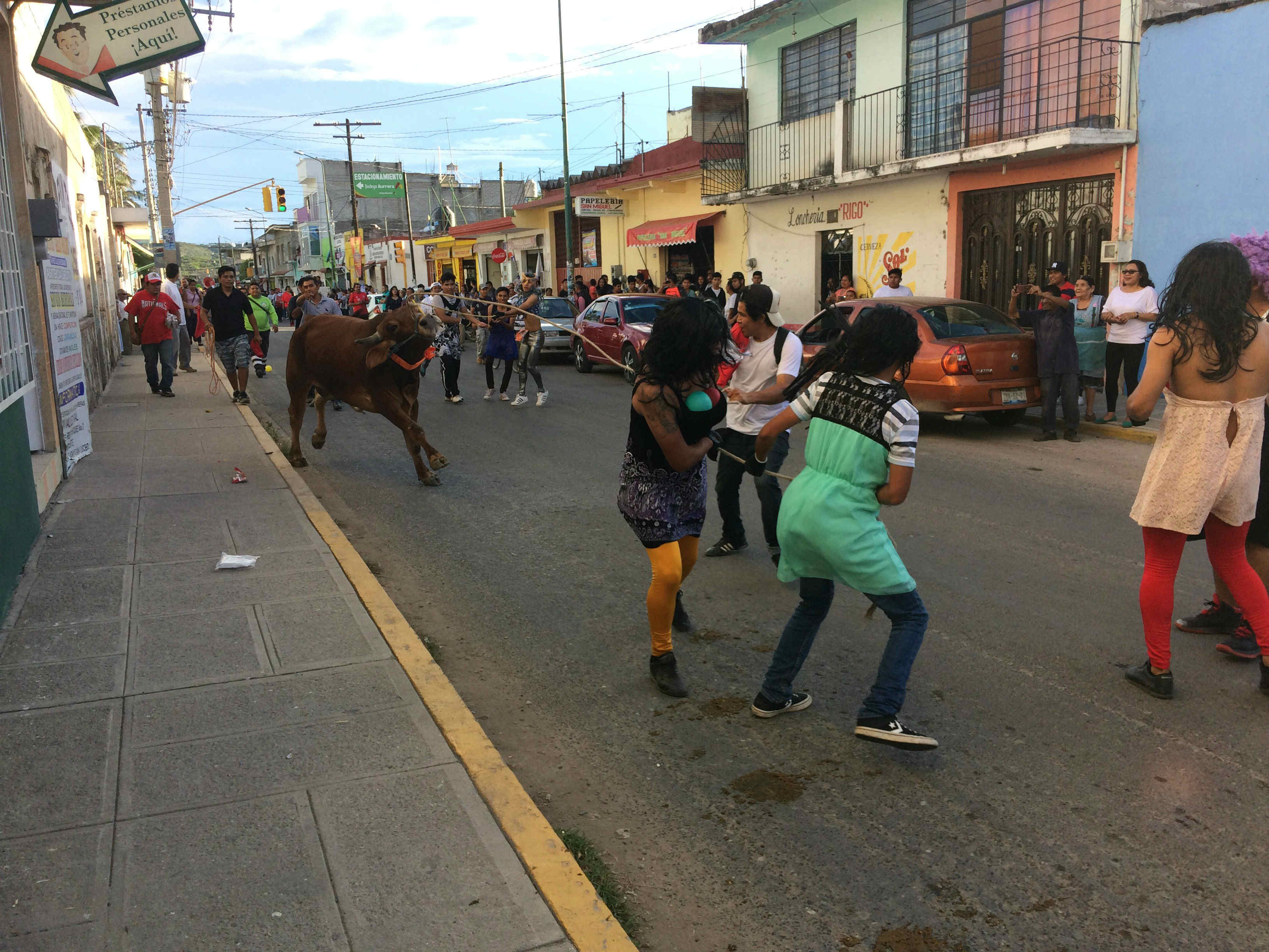 Becerreada arranca los festejos a San Rafael en Acatlán