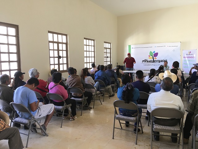 Ayuntamiento apoyará cultivo de pitahaya en Ahuatempan