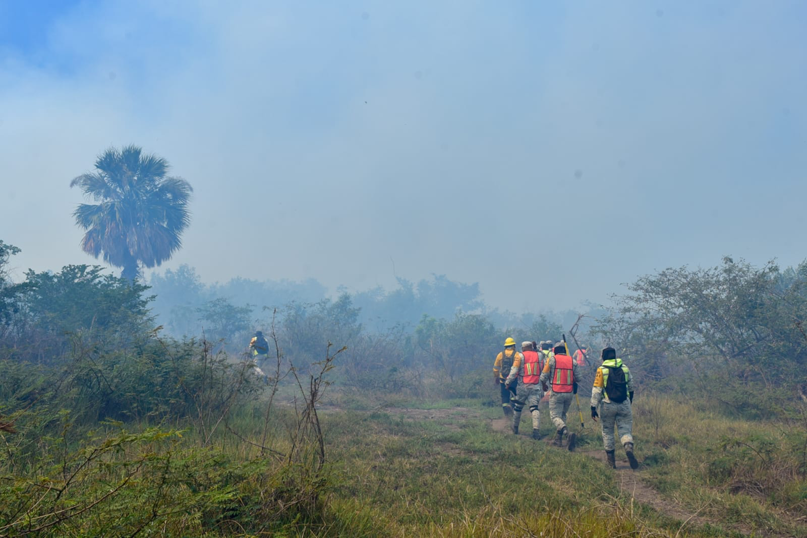 Marzo, abril y mayo, temporada crítica para incendios forestales en el país