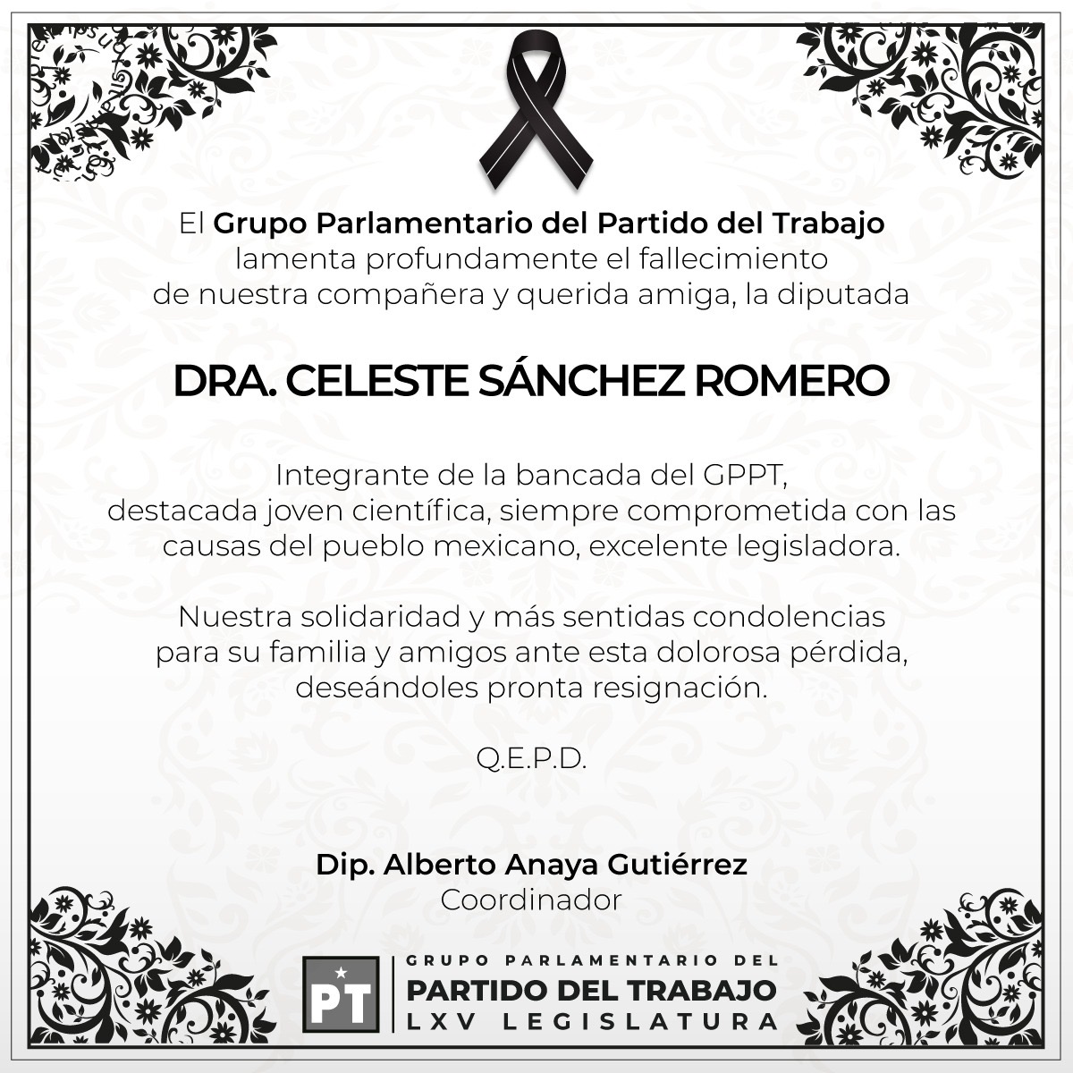 Murió Celeste Sánchez Romero, diputada federal del PT