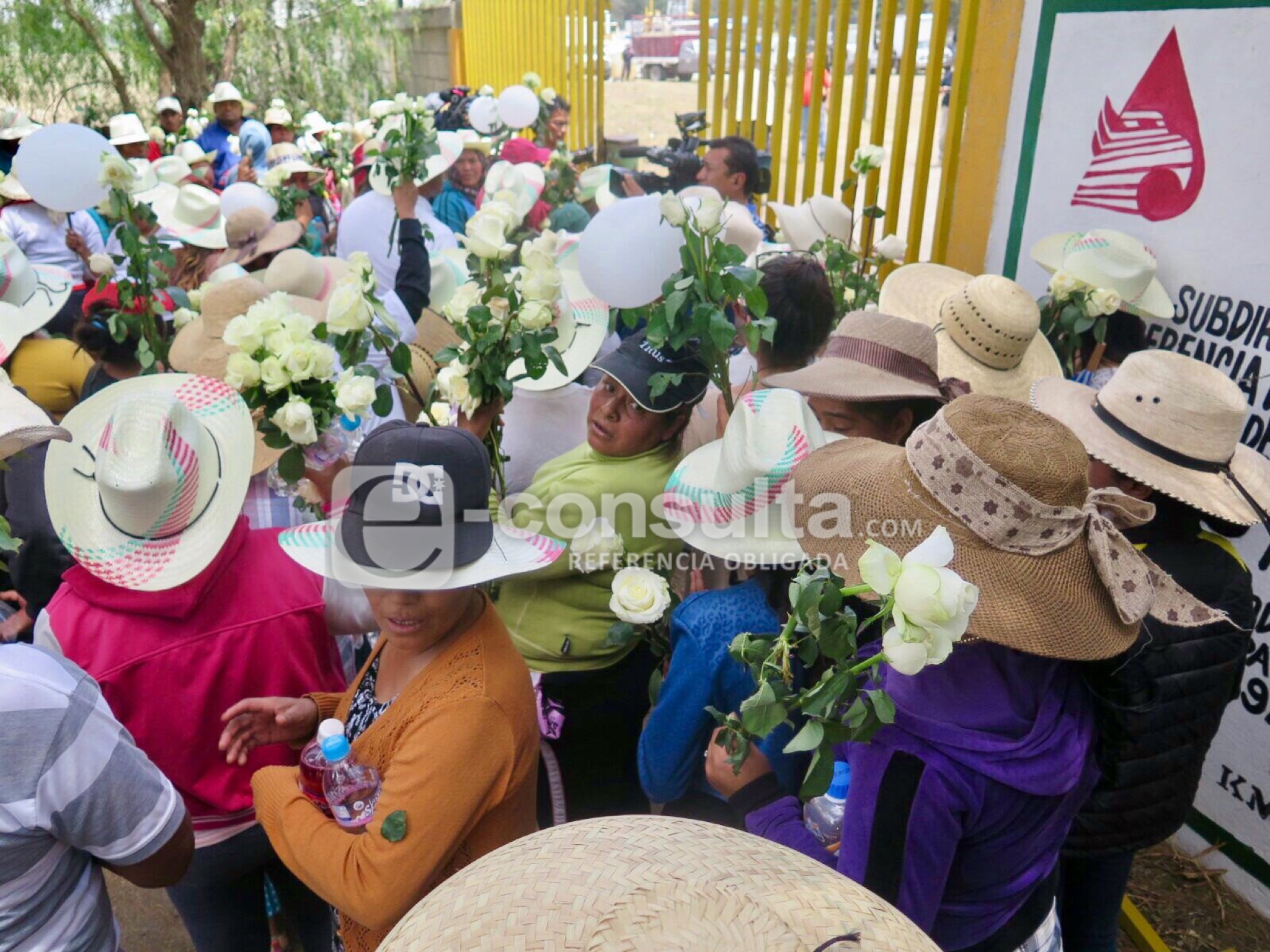 Con rosas, pobladores de Palmarito piden paz al Ejército Mexicano