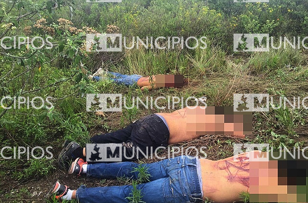 Encuentran a 3 ejecutados en Tehuacán y marcan mensaje en sus espaldas