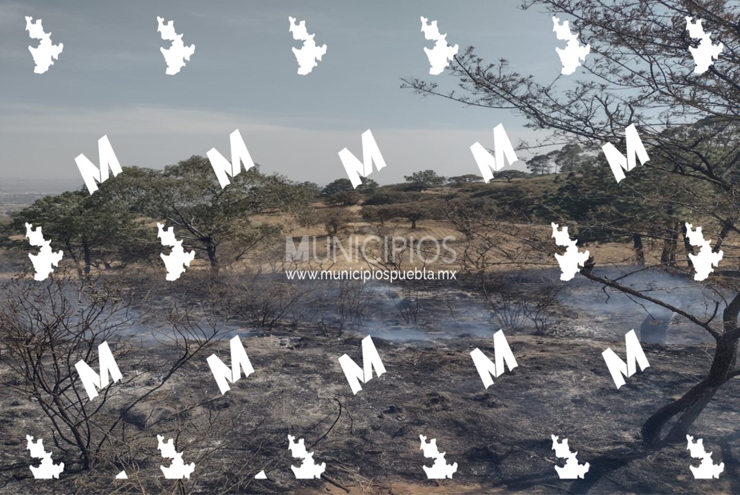 Incendio en el Cerro Totolquemec consume dos mil árboles