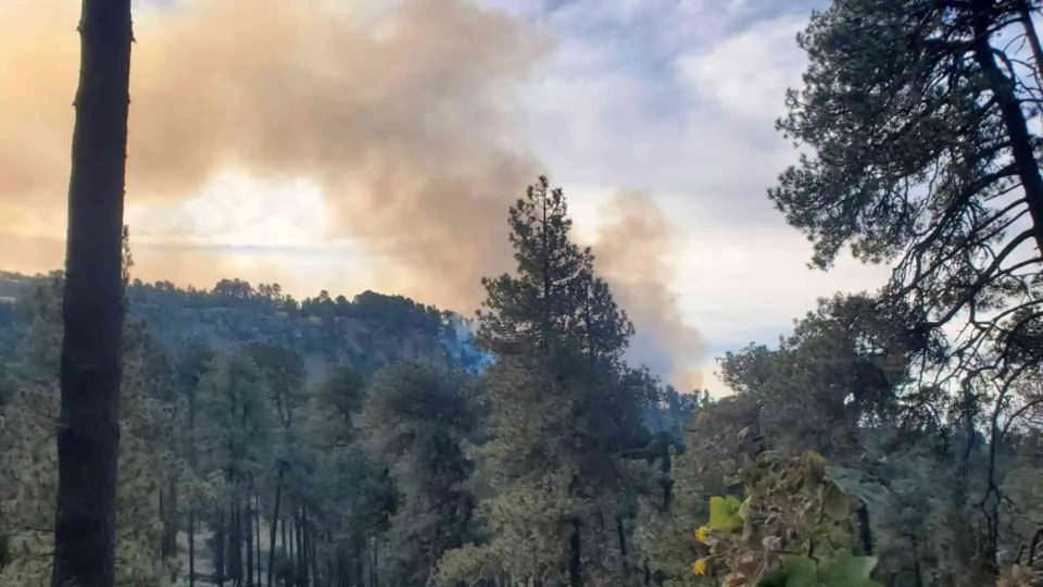 Se registra incendio en el Parque Nacional Iztaccíhuatl-Popocatépetl