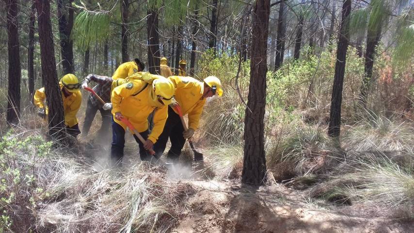 Registra Protección Civil 6 incendios forestales en las últimas horas