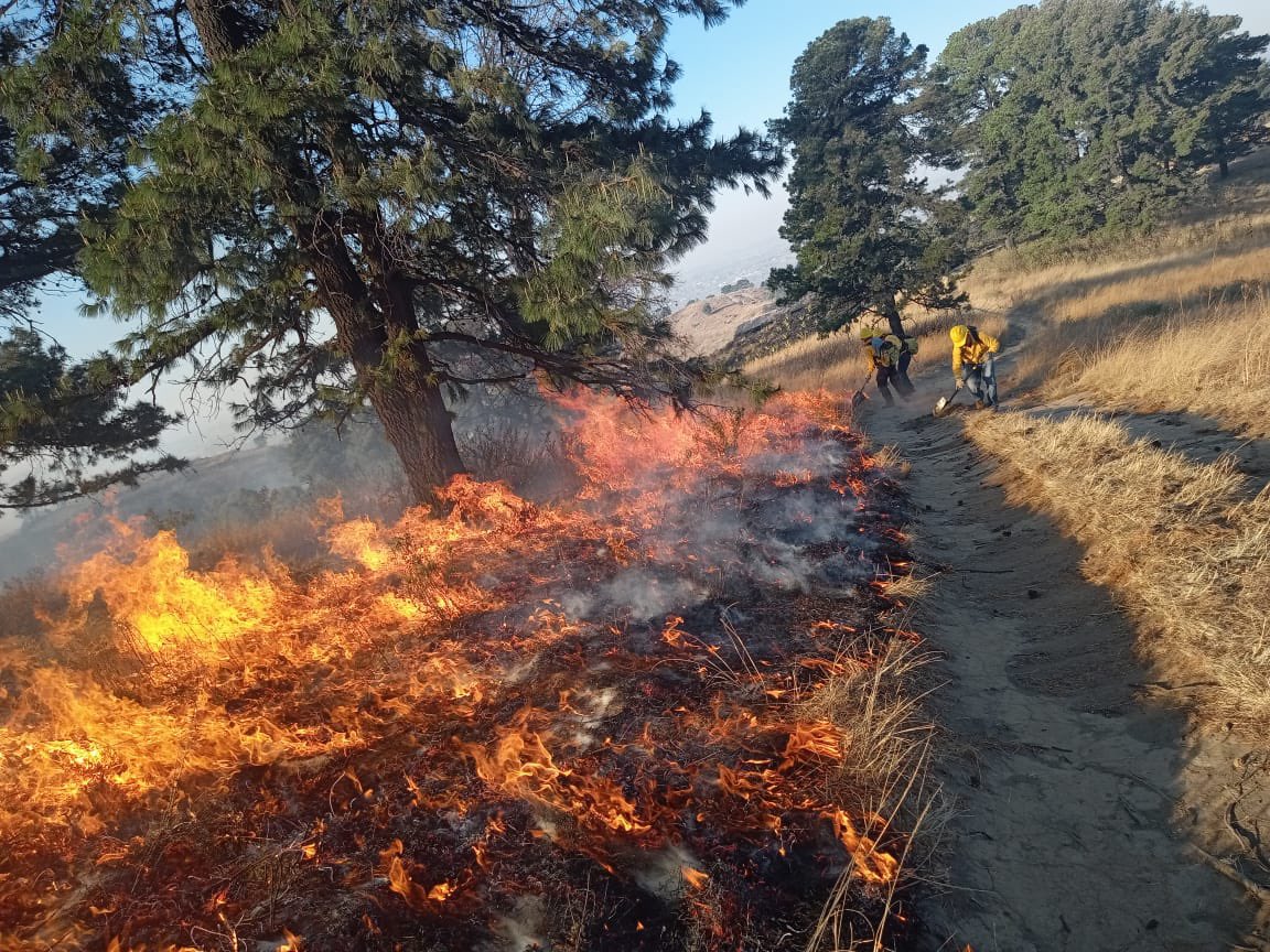 En 2024, Puebla registró 417 incendios forestales