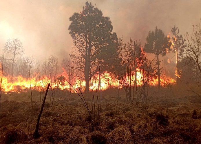 Suma Puebla 246 incendios forestales solo este año: Medio Ambiente