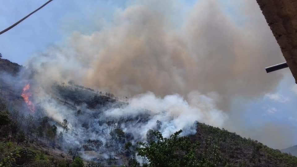 Se registra incendio forestal en Vicente Guerrero