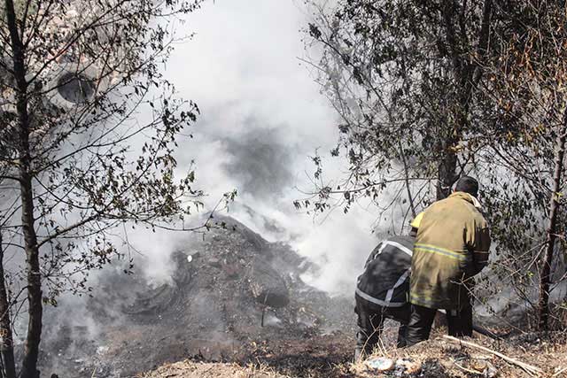 Reforestará Soapama 25 hectáreas de bosque afectadas por incendio en el Popo