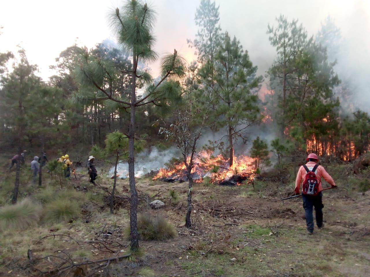 Lluvias evitan nuevos incendios forestales: Protección Civil