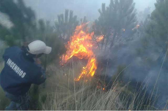 Se incendia ladera del Paseo de la Barranca en Zacatlán