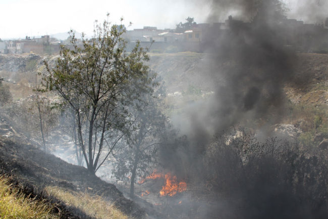 En 2017 se disparan incendios forestales, cifra supera el total de 5 años