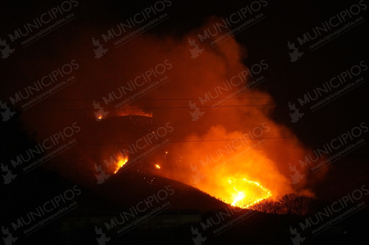Incendio forestal consume más de 15 hectáreas en Tecamachalco