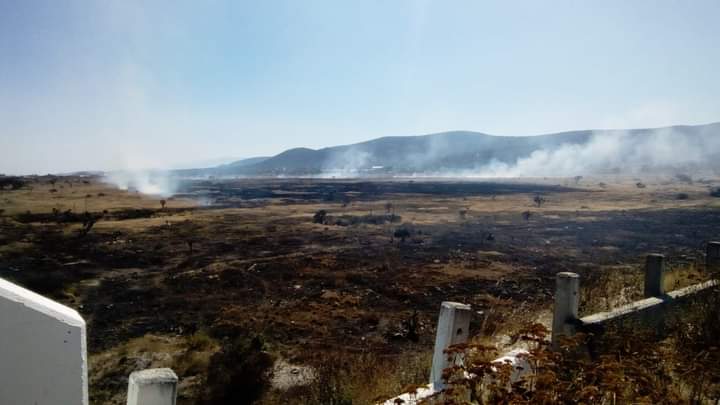 Incendio afectó 10 hectáreas de la Reserva Tehuacán-Cuicatlán