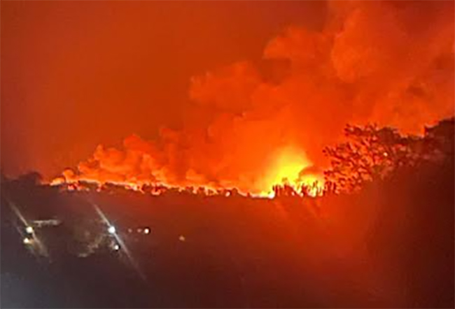 Se incendian plantas de tule de laguna de San Juan Epatlán  