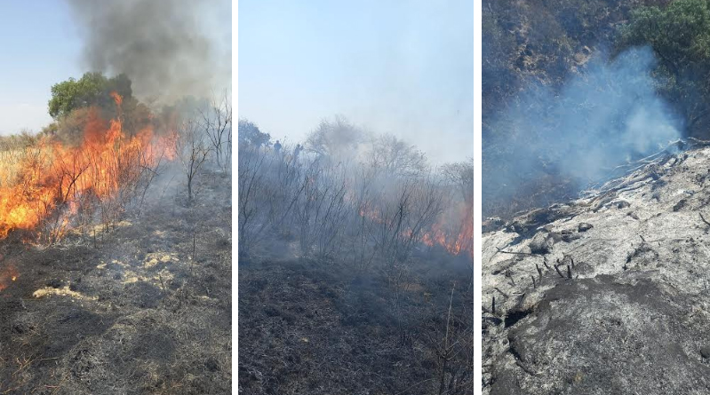 Incendio consume más de 30 hectáreas de pastizales en cerro de Texmelucan