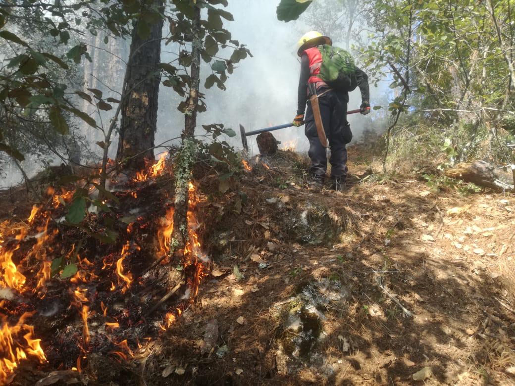 Bomberos controlan incendios forestales en Tlalixtlipa