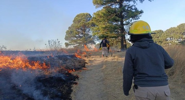 Hasta 30 hectáreas afectadas por incendio en el Zapotecas