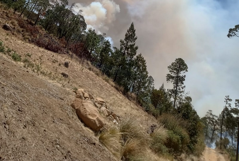 Reportan incendio forestal en La Fragua; está a 80% de liquidación