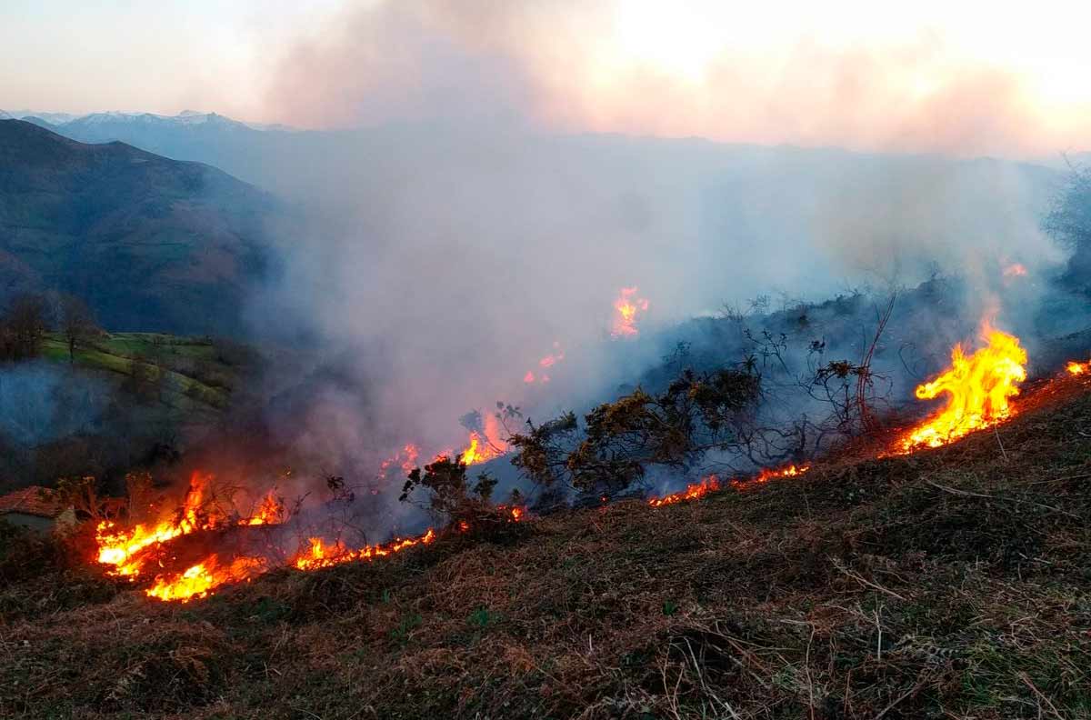 Puebla dentro del Top Ten en incendios forestales