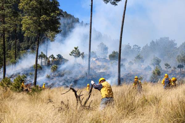 Van liquidados nueve de 12 incendios registrados en Puebla