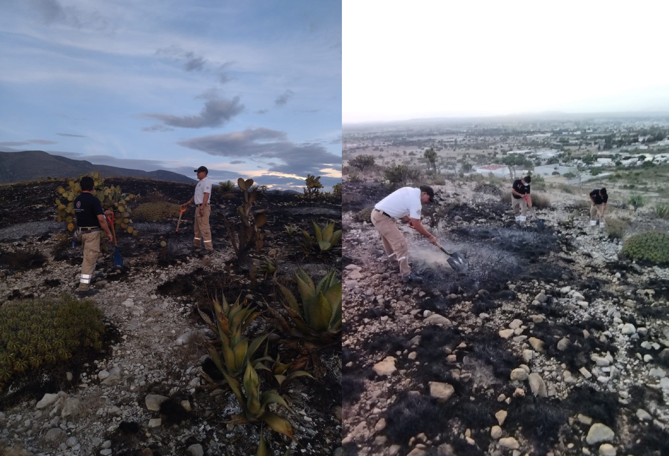 Incendio consume 2 hectáreas de la reserva de la Biosfera en Tecamachalco