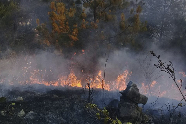 Avanza hasta en 95 % el control de incendios forestales en Puebla