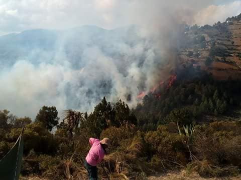 Cientos se movilizan para sofocar incendio en la Sierra Negra