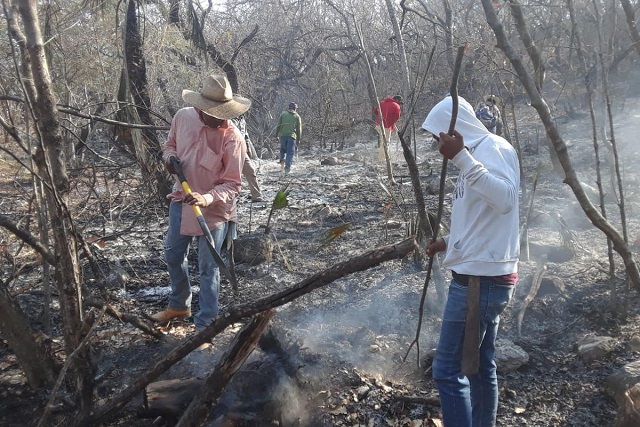 Liquidados seis incendios forestales en las últimas horas