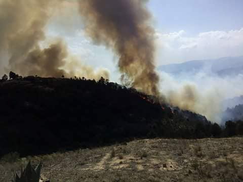 Cientos se movilizan para sofocar incendio en la Sierra Negra